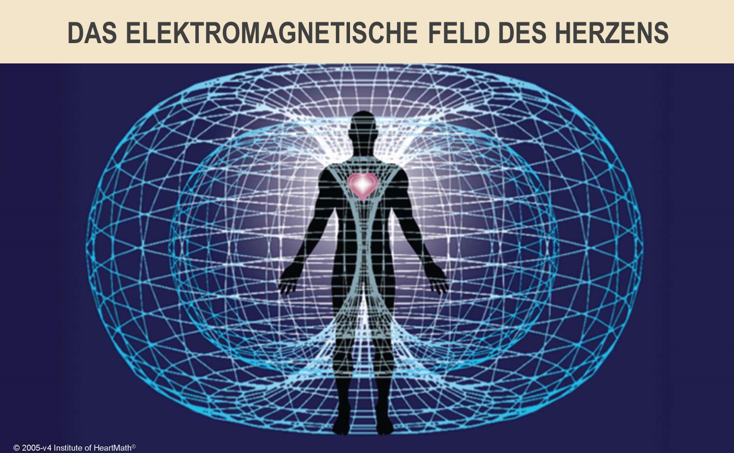 das elektromagnetische feld des herzens
